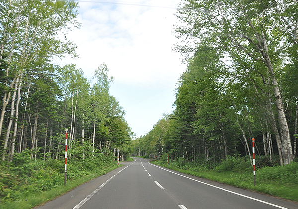 d0079912_11345496.jpg