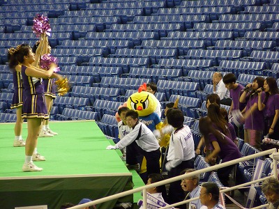 伯和ビクトリーで見たのは・・・鳥?鶏?_b0166128_9414125.jpg