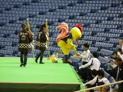 伯和ビクトリーで見たのは・・・鳥?鶏?_b0166128_9503474.jpg