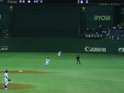 伯和ビクトリーで見たのは・・・鳥?鶏?_b0166128_9563468.jpg