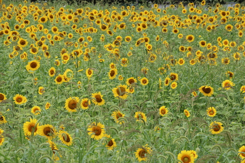 b0208228_17505941.jpg