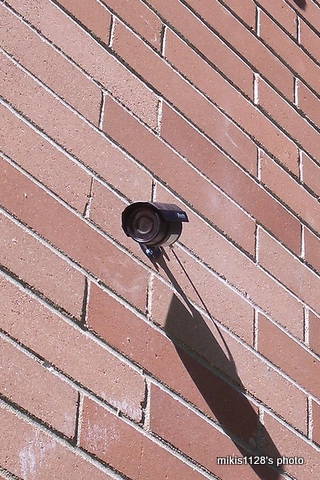 f0045736_14594334.jpg