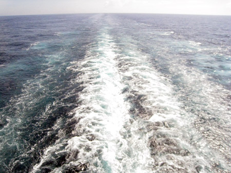 c0068639_10433145.jpg