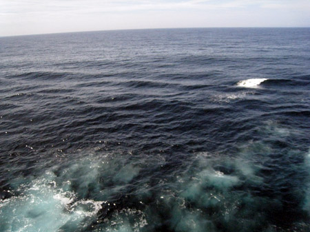 c0068639_10442842.jpg