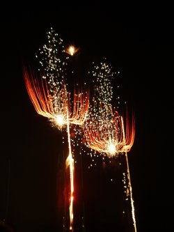 芳賀町ロマン花火2012_e0227942_0364462.jpg