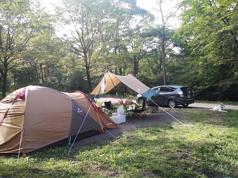 d0204043_17134390.jpg