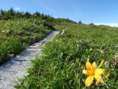 目には花、喉には雪融水が嬉しい白山北部登山路グルリンポン<part２＞≪2日目≫_c0097754_17583191.jpg