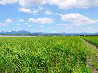 a0254656_19564846.jpg