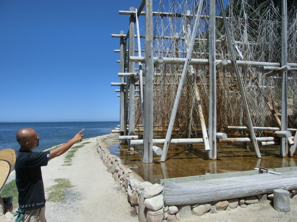 f0201157_8361585.jpg