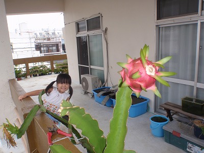 c0180460_15492915.jpg