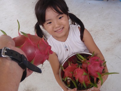 c0180460_1550226.jpg