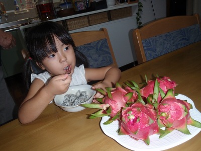 c0180460_15512728.jpg