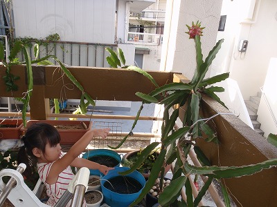 c0180460_18171464.jpg