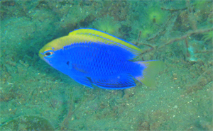f0164662_158772.jpg