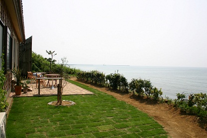 b0079965_35773.jpg
