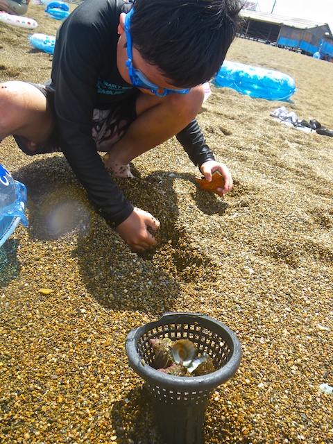 芦原温泉海水浴２日目_e0139376_1733463.jpg