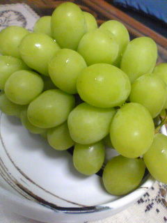 a0111077_15105731.jpg