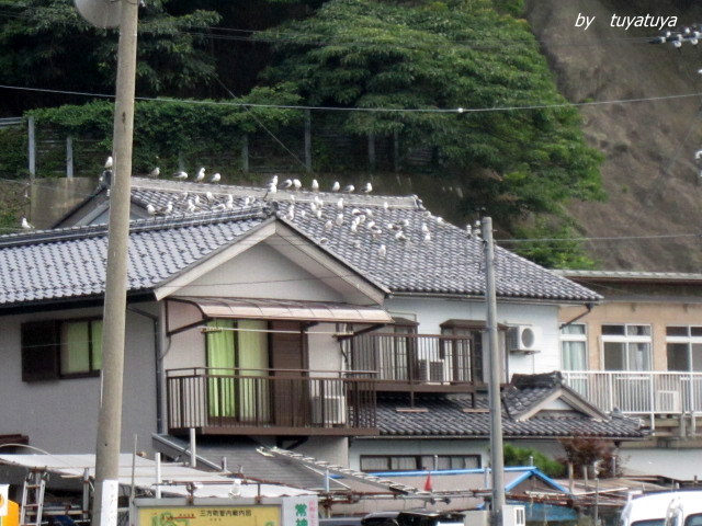 b0245877_12151290.jpg