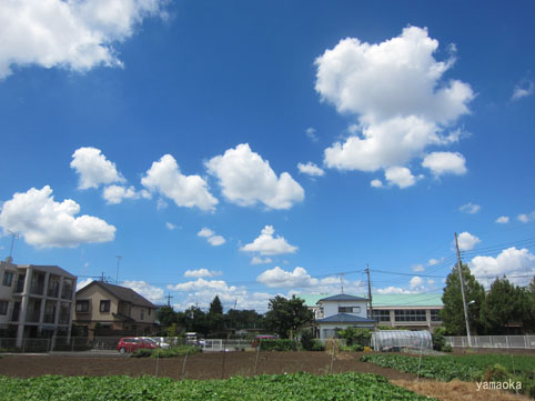 夏の夕べの出版記念会 ふらんす堂編集日記 By Yamaoka Kimiko