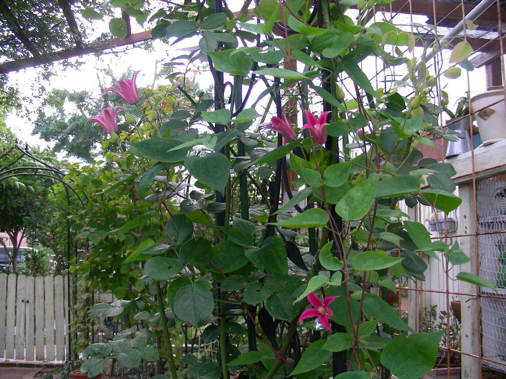 b0096584_2384464.jpg