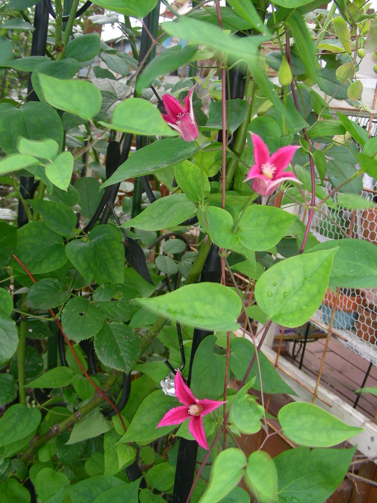 b0096584_2385843.jpg