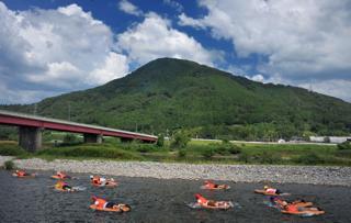 鮎もあまりの暑さに池の中で飛び魚状態..この乱舞にはビックラこきました...._b0194185_22211015.jpg