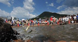 鮎もあまりの暑さに池の中で飛び魚状態..この乱舞にはビックラこきました...._b0194185_22231796.jpg