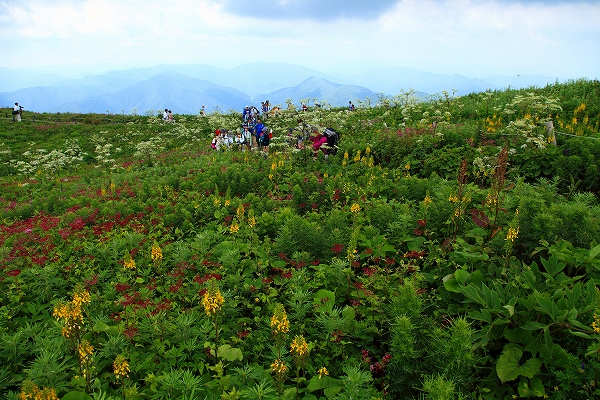 伊吹山で歩荷トレ？_f0073587_2159120.jpg