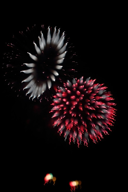 a0183690_012435.jpg