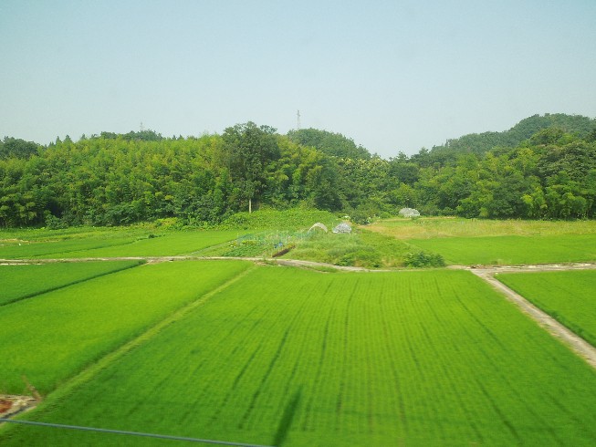 c0108693_2091672.jpg