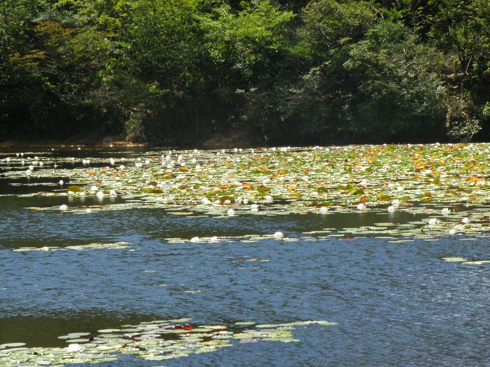 芦屋地獄谷で涼んだけれど・・・　2012/08/04（土）　快晴・涼・強風　５名_c0134193_841797.jpg