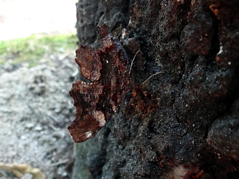 f0204094_12184948.jpg