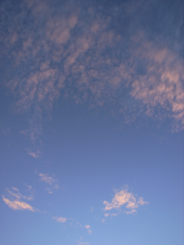 c0015099_14573755.jpg