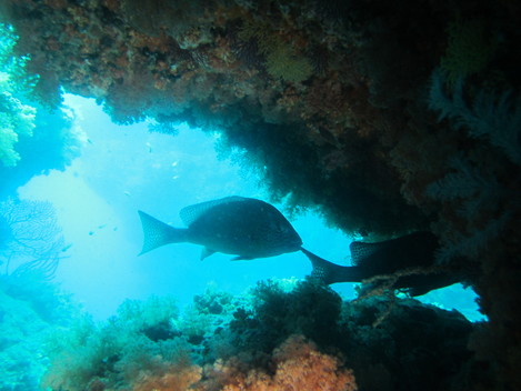 e0115199_13205713.jpg
