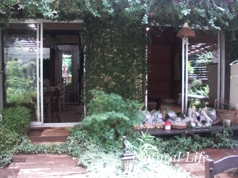 b0162000_8485719.gif