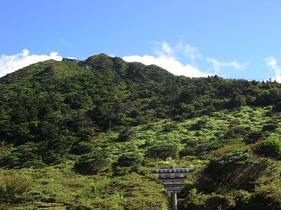 f0187402_17385136.jpg