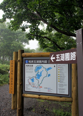 c0148705_1685010.jpg