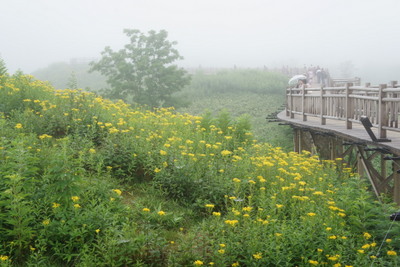 北海道の旅　知床五湖②_c0148705_2305289.jpg