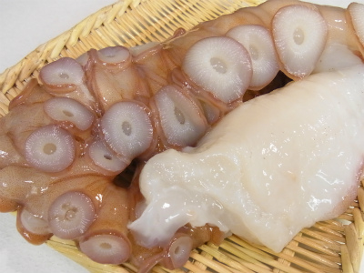 タコの親子!_f0157910_14493665.jpg