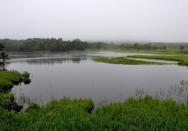d0079912_14272520.jpg