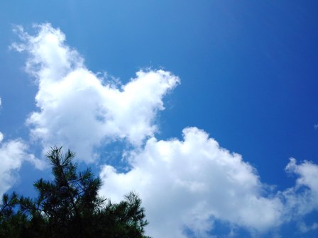 e0117613_10294278.jpg