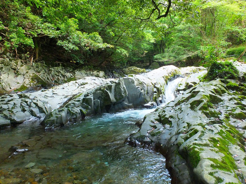 f0182513_2025754.jpg