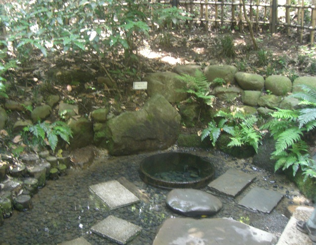 b0181015_15484243.jpg