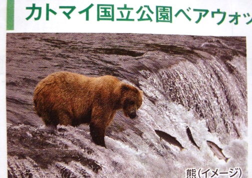 アラスカ旅行♪　～4日目はクマがいっぱいのカトマイ国立公園～_d0098316_1922100.jpg