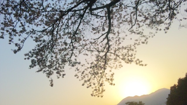 a0111220_22523274.jpg