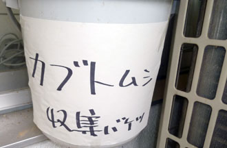 f0087620_14135981.jpg