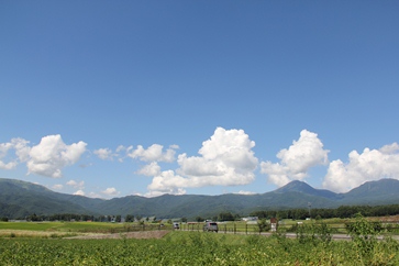 b0209623_238454.jpg