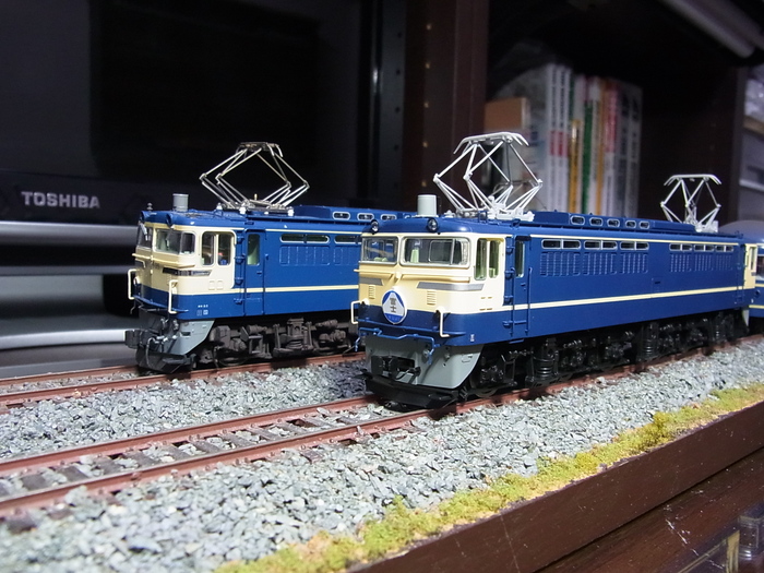 HO】トラムウェイEF65-500 : Viva Viva JNR