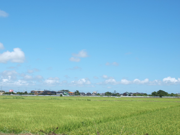 コロコニの遠足ー「匝瑳市」海編_a0276024_2294732.jpg