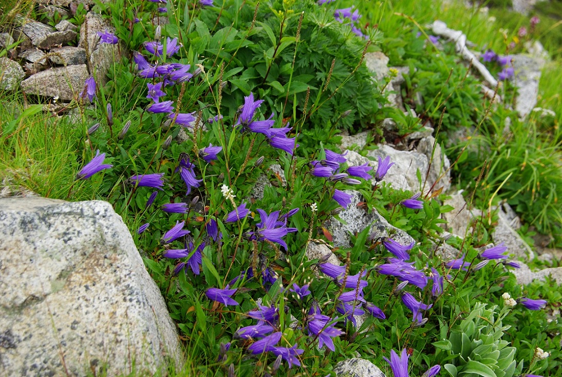 b0062024_20442851.jpg